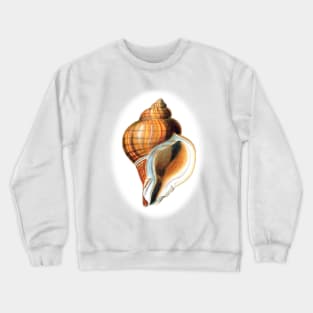 Snail house designer Crewneck Sweatshirt